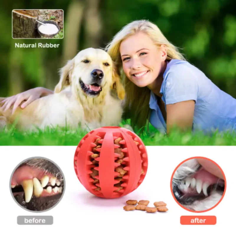Interactive Rubber Treat Dispensing Ball